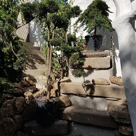 Da Winci * Οδησσός