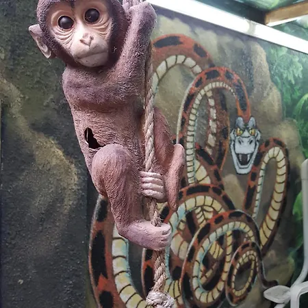 Da Winci Διαμέρισμα *