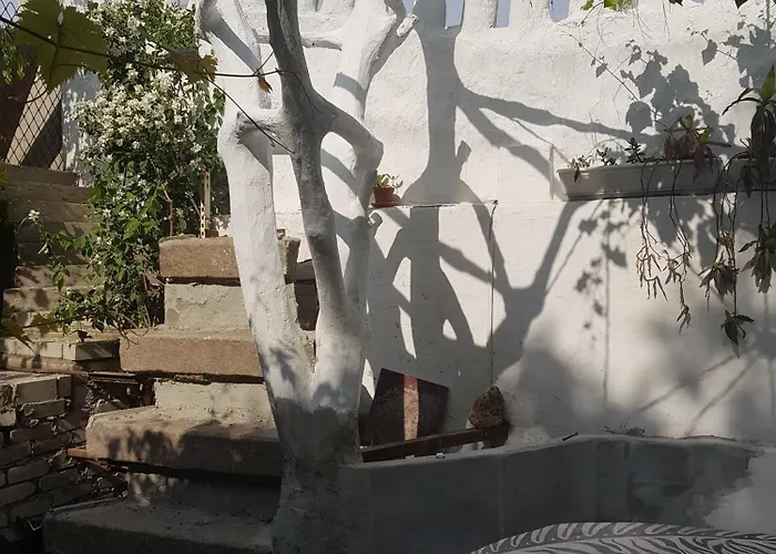 Da Winci Daire Odessa