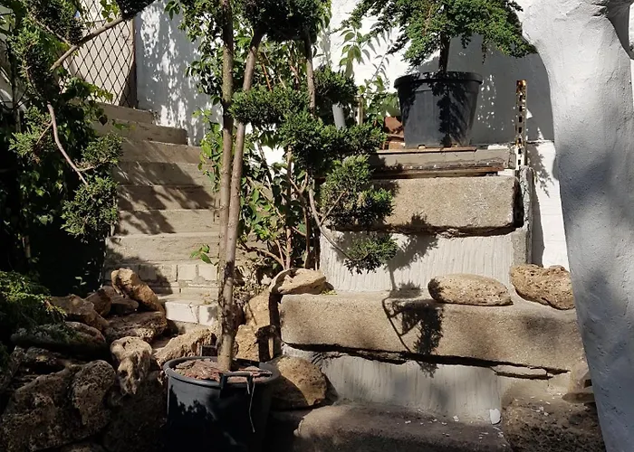 Da Winci * Odessa